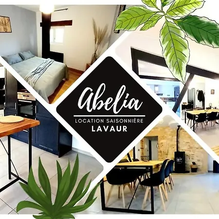 Gite Abelia Avec Exterieur Lavaur  Exterior foto